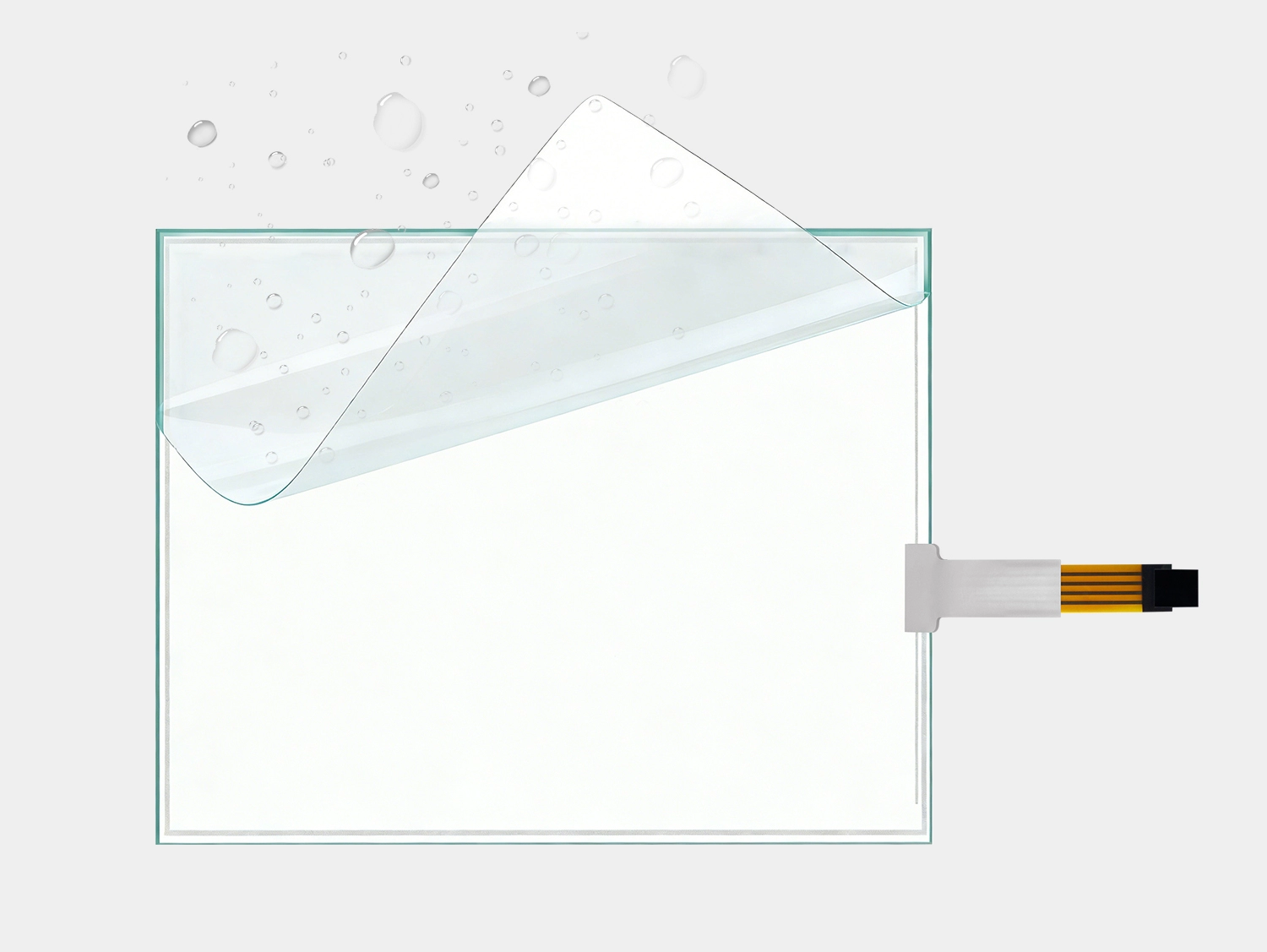  الوظيفة والبنية 