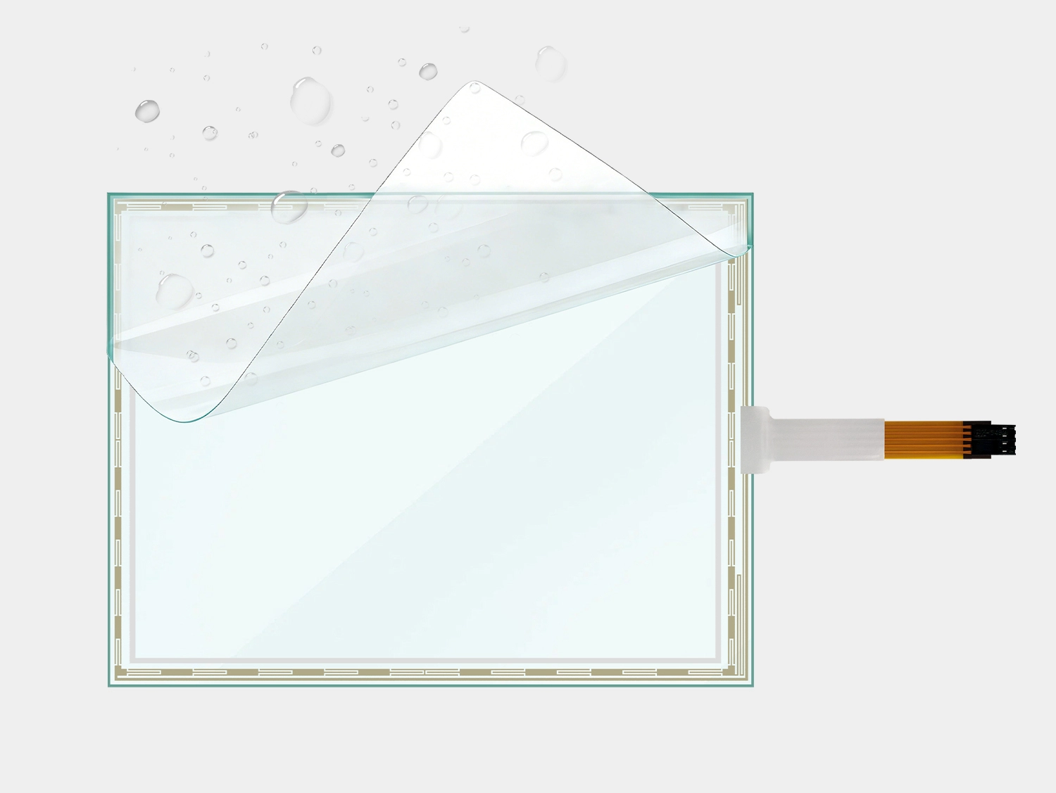  الوظيفة والبنية 