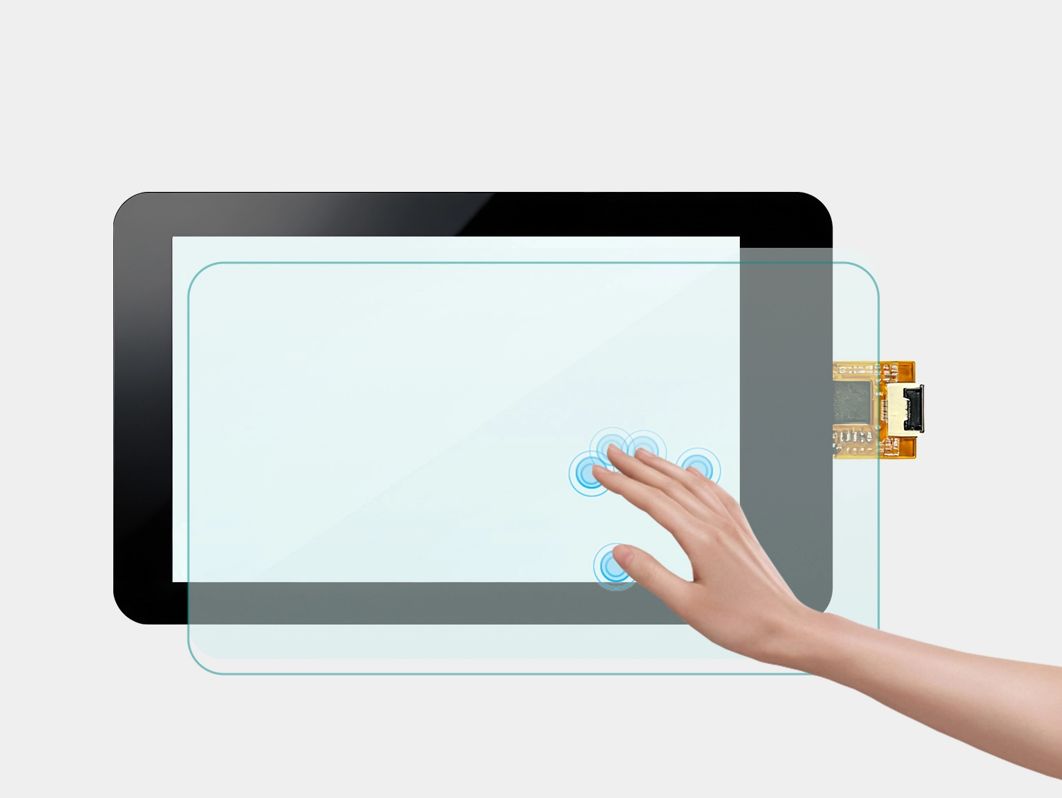  الوظيفة والبنية 