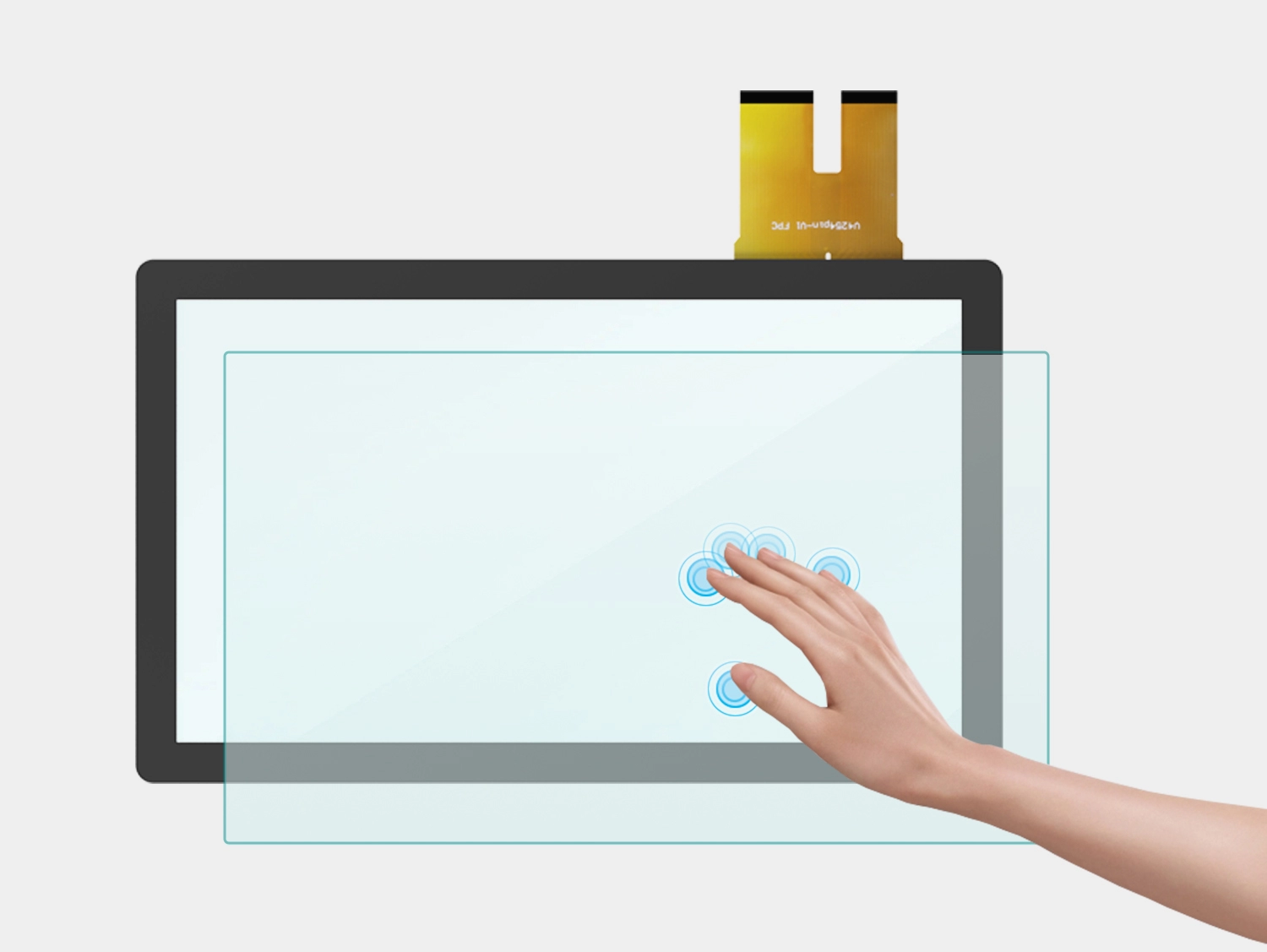  الوظيفة والبنية 