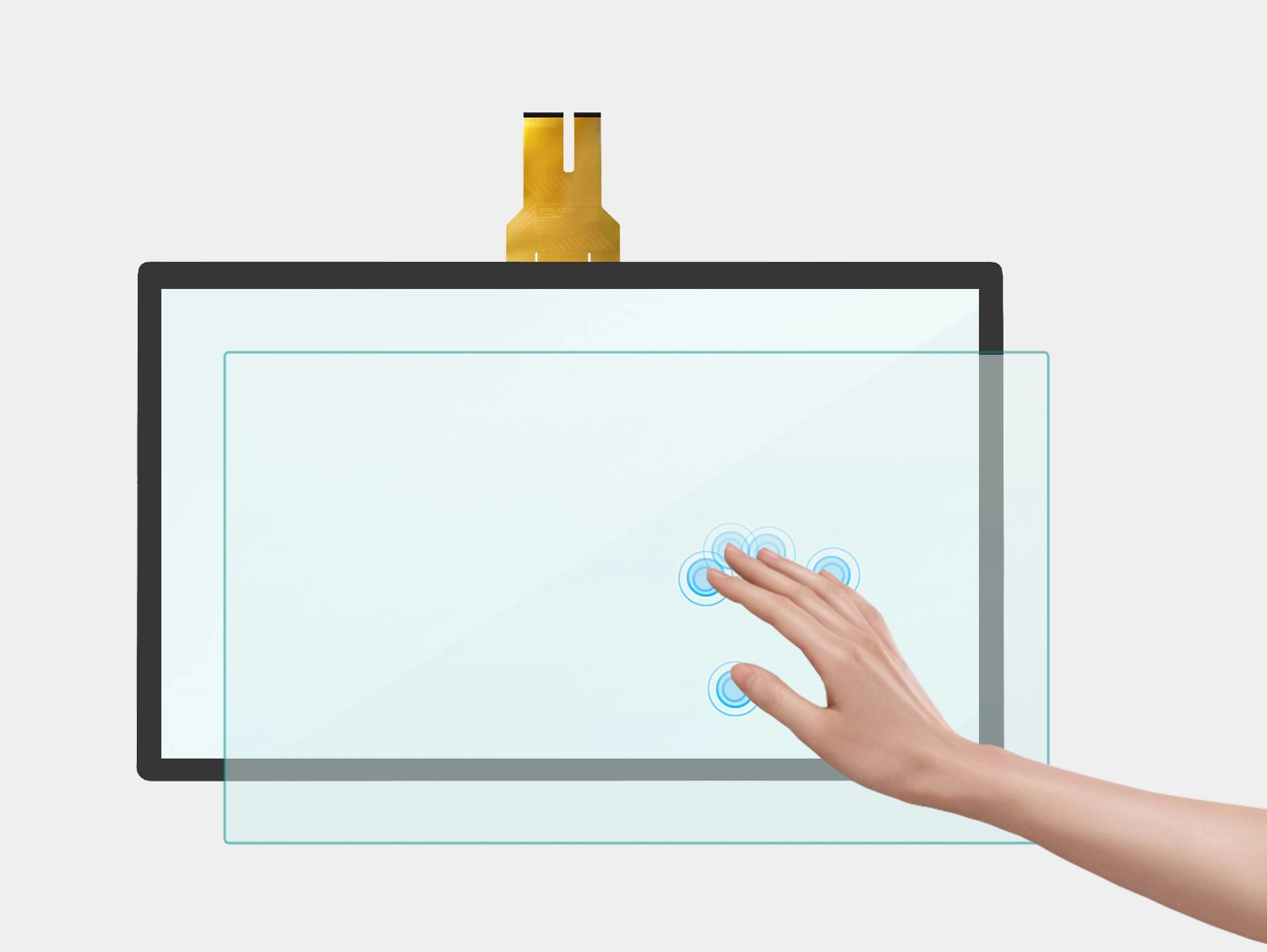  الوظيفة والبنية 