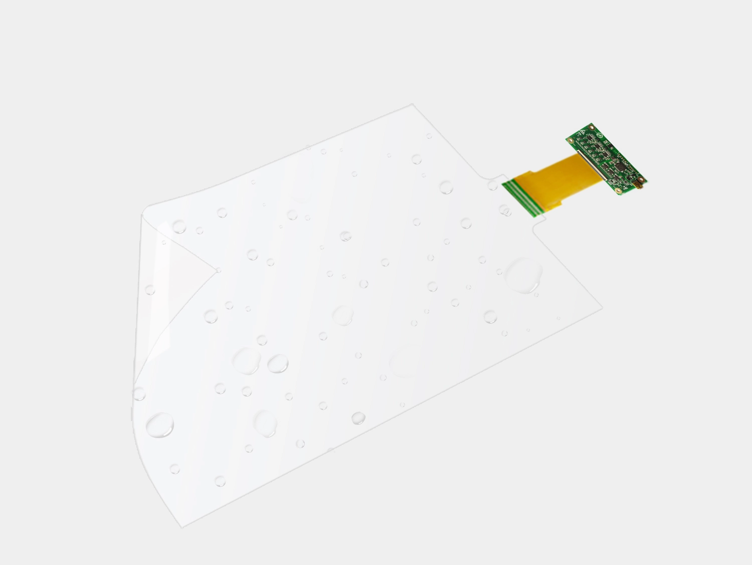  الوظيفة والبنية 