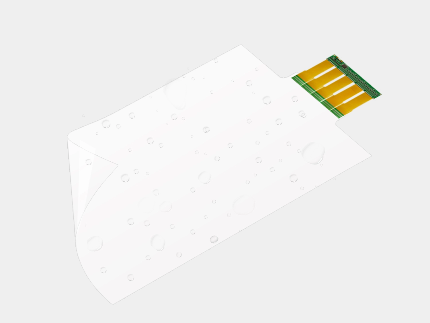  الوظيفة والبنية 