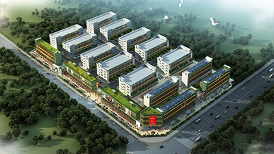 حول غرين تاتش 2026